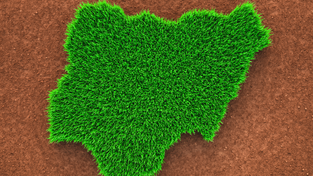 NIGERIA TAKES A BOLD STEP TOWARD DIGITAL EDUCATION : WHAT THIS MEANS FOR SCHOOLS USING SKOOLBOD